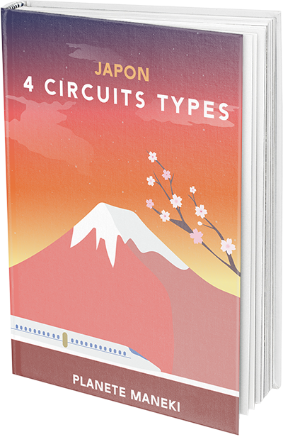 4 circuits types