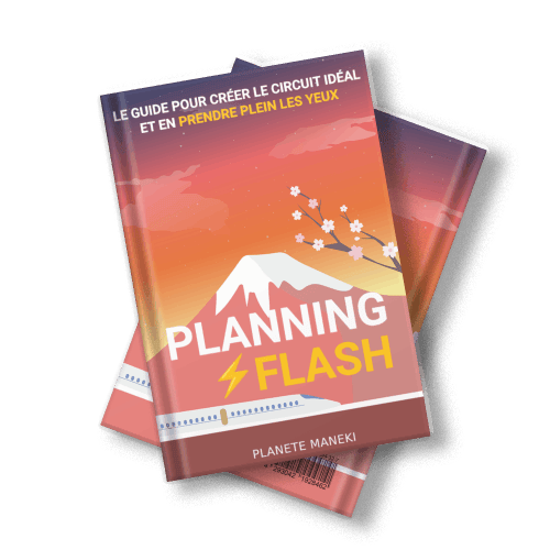 Planning Flash
